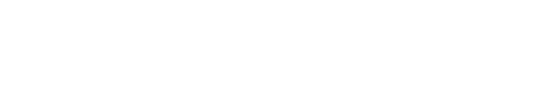 Special Services Bureau LLC Logo